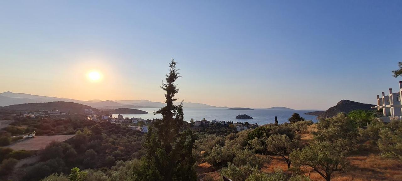 托隆Πέτρα, Ελιά Και Λεβάντα别墅 外观 照片