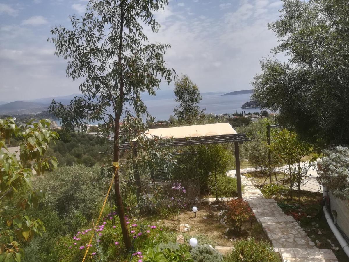托隆Πέτρα, Ελιά Και Λεβάντα别墅 外观 照片