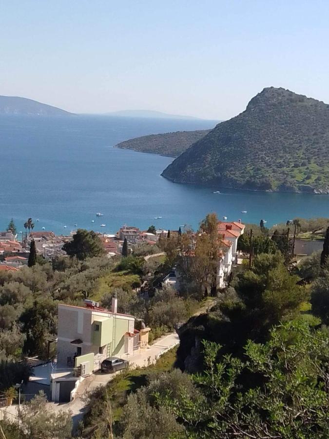 托隆Πέτρα, Ελιά Και Λεβάντα别墅 外观 照片