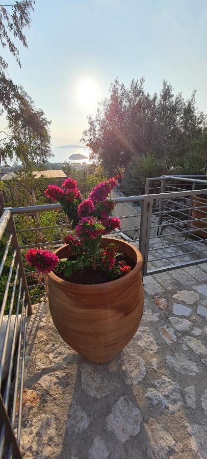托隆Πέτρα, Ελιά Και Λεβάντα别墅 外观 照片