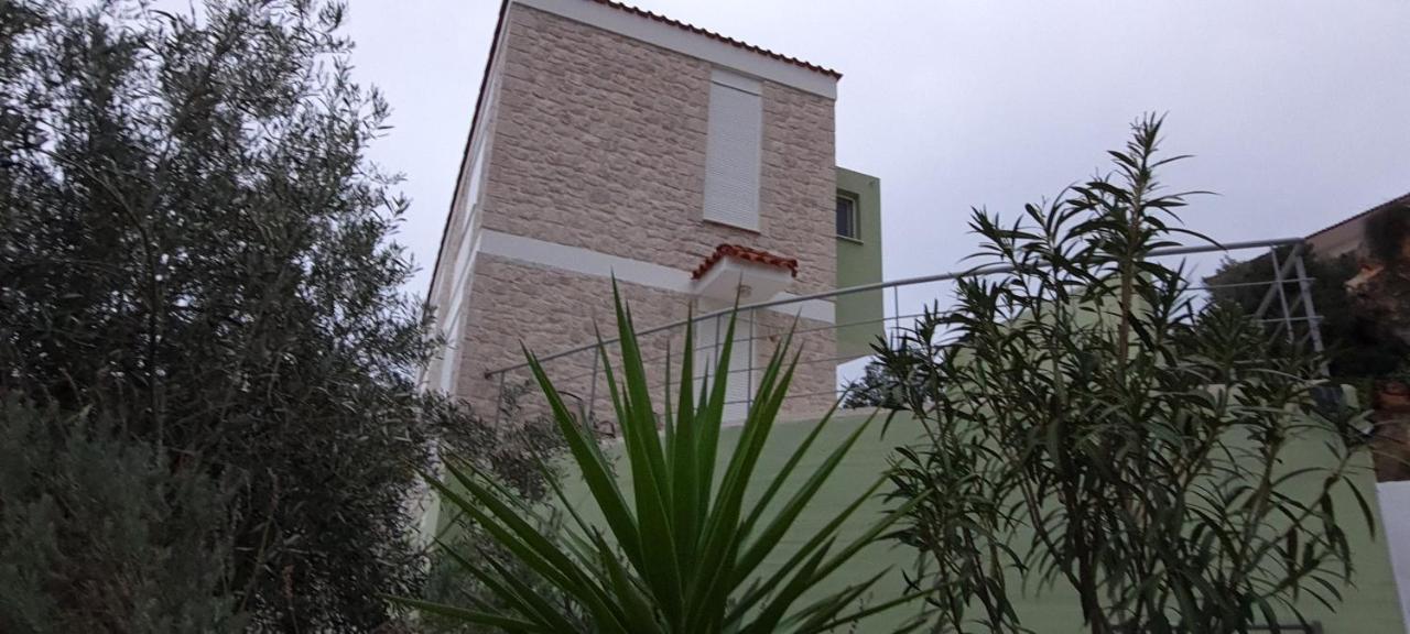 托隆Πέτρα, Ελιά Και Λεβάντα别墅 外观 照片
