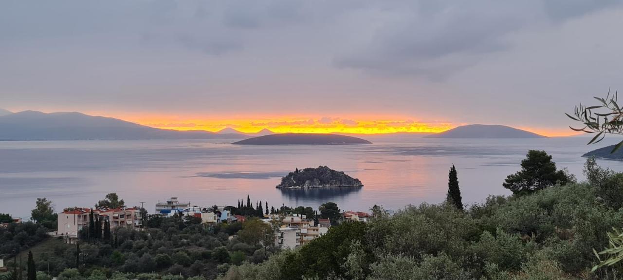 托隆Πέτρα, Ελιά Και Λεβάντα别墅 外观 照片