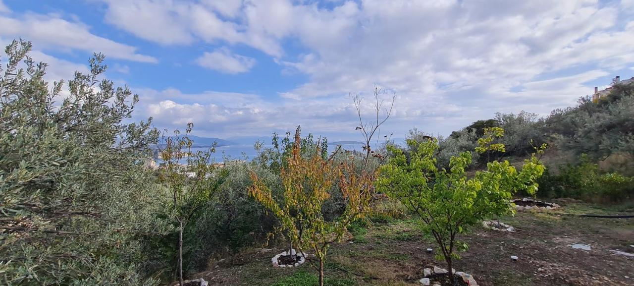 托隆Πέτρα, Ελιά Και Λεβάντα别墅 外观 照片
